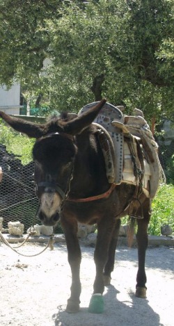 The village of Prina in Crete